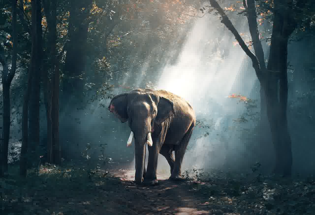 변리사 연봉: 고수익 전문직 1위의 진실은?