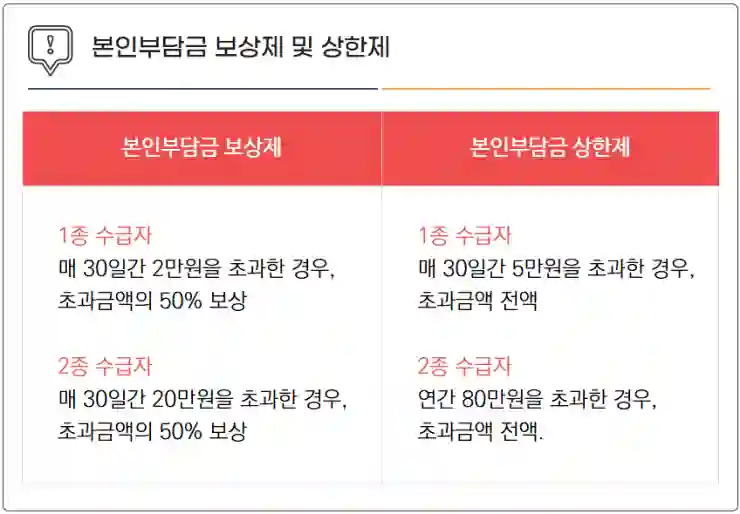 의료급여 1종과 2종의 차이점 완벽 정리 및 자격 조건 알아보기 - 의료수급자_1종_2종