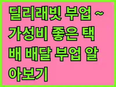 딜리래빗 부업 ~ 가성비 좋은 택배 배달 부업 알아보기 (feat. 지금이 최고)