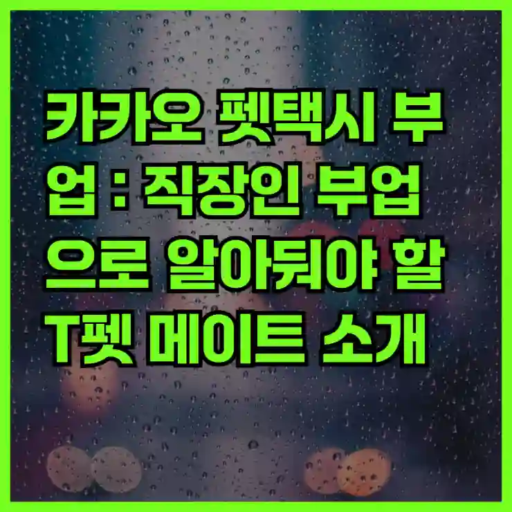 카카오 펫택시 부업 : 직장인 부업으로 알아둬야 할 T펫 메이트 소개 (자차)