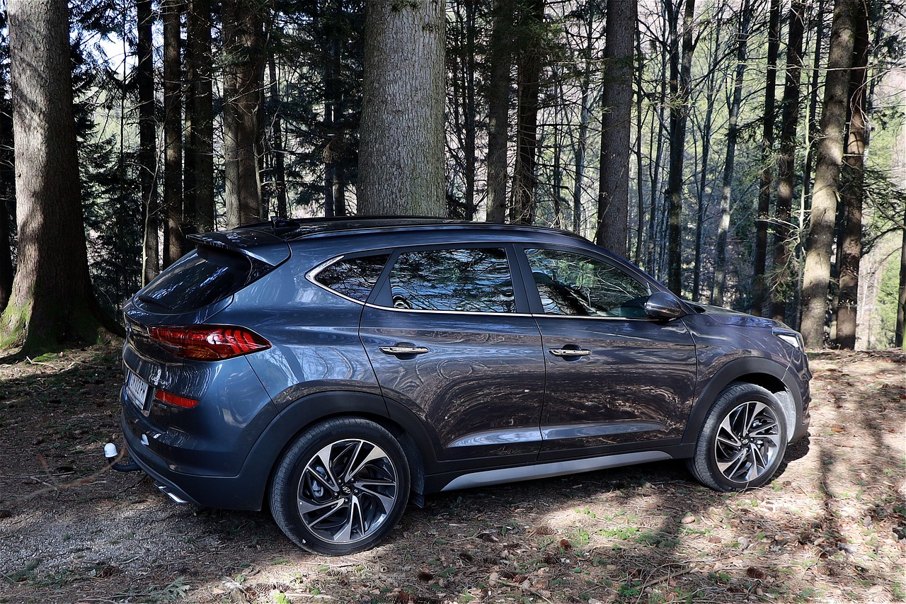 기아 SUV 라인업 총정리 – 셀토스부터 EV9까지
