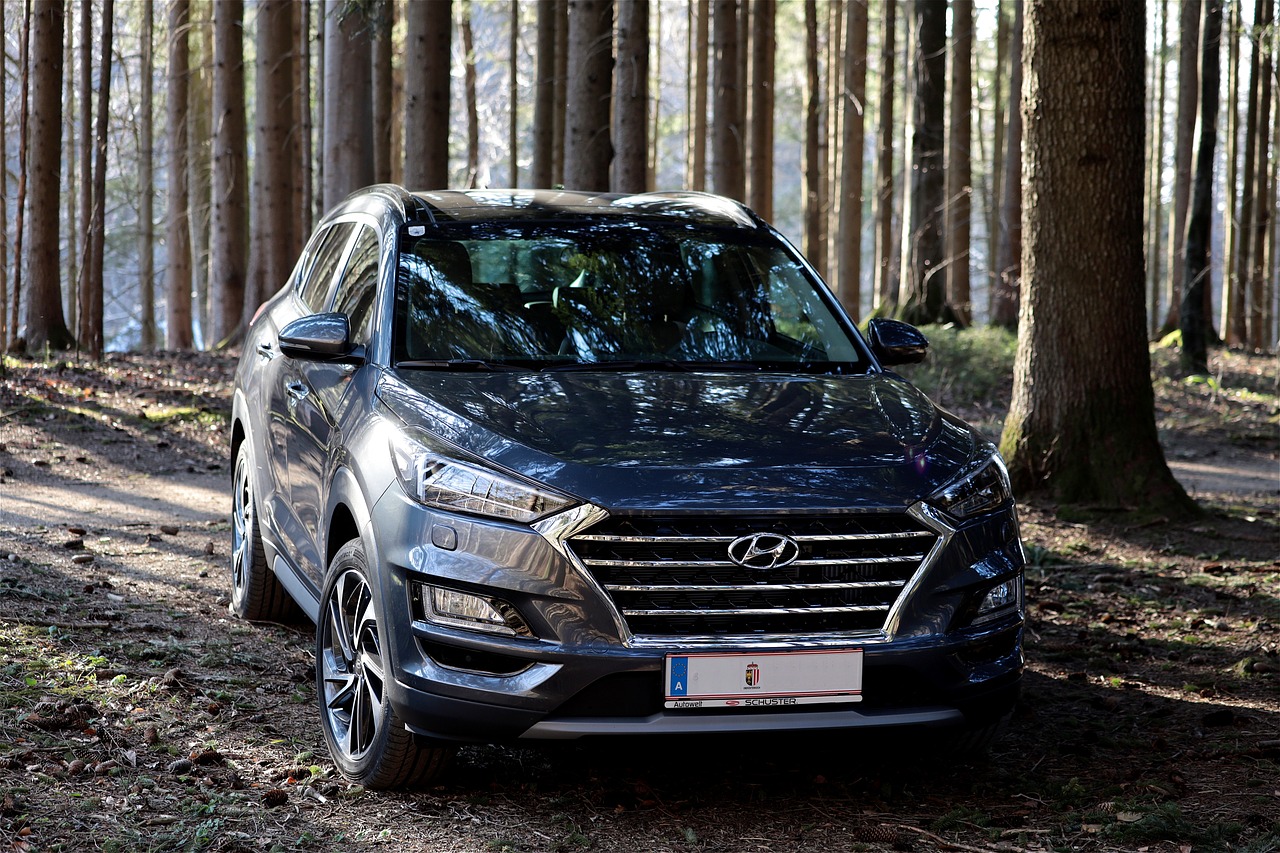 반려동물과 함께하는 완벽한 SUV 추천 리스트 1