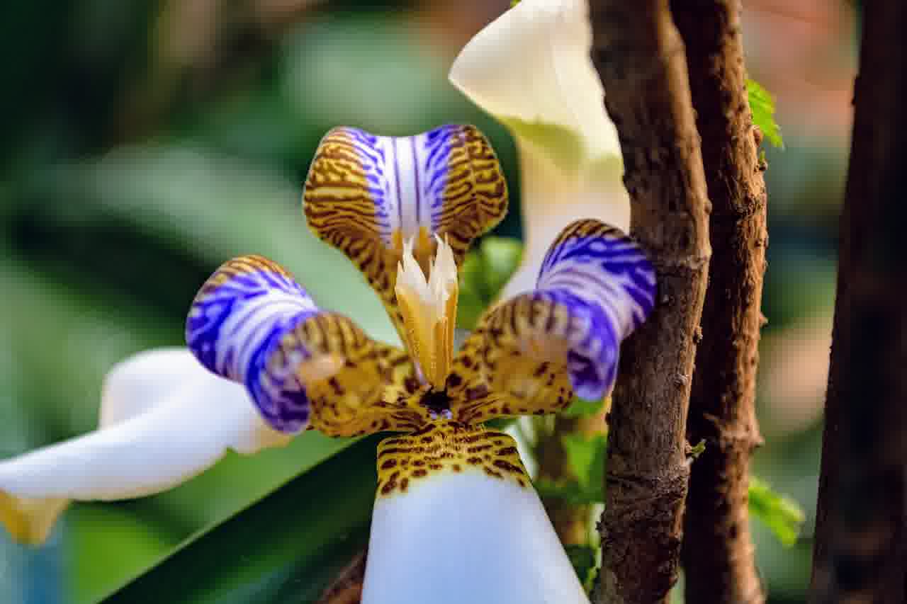 넷플릭스 모바일 요금제 할인받는 꿀팁 알아보기