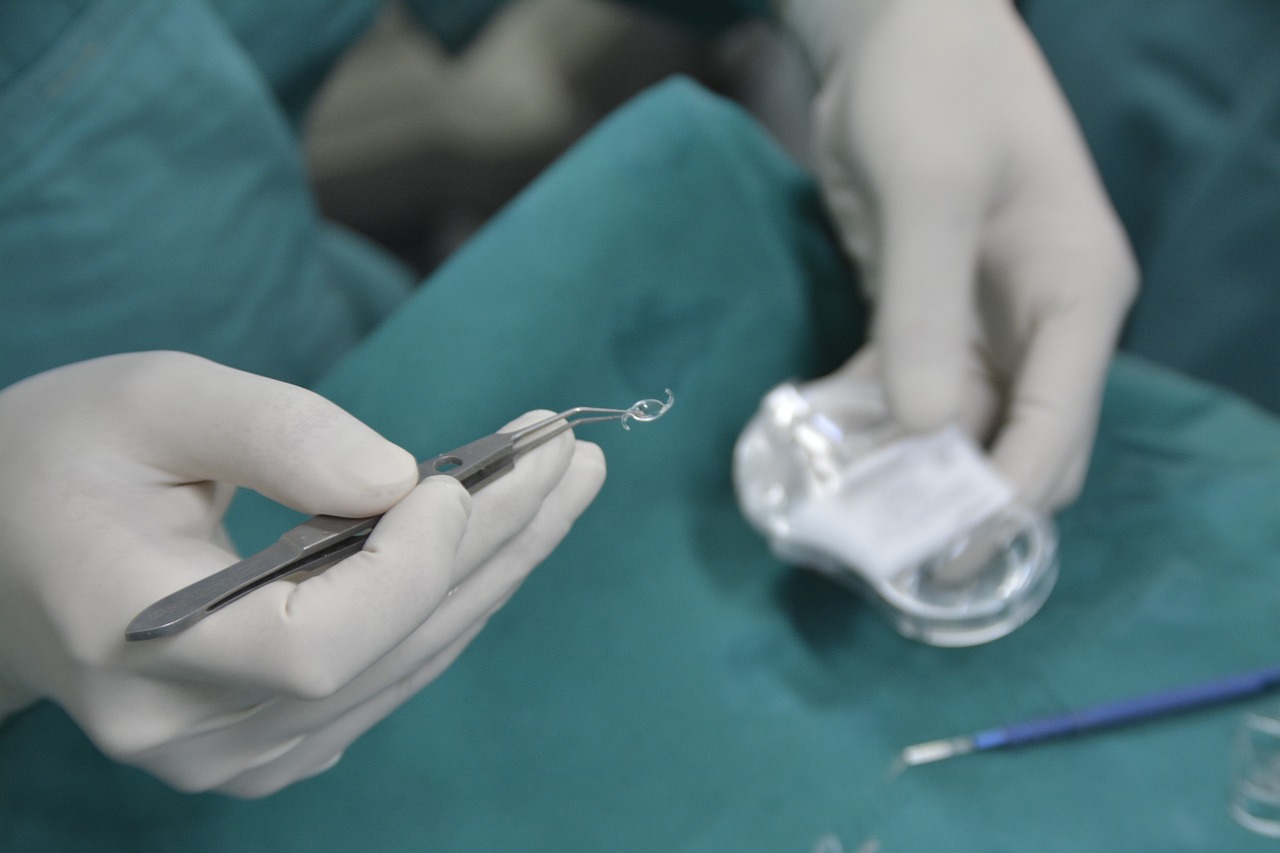 본인부담상한액 초과금 환급 신청 꿀팁과 지급일 체크리스트 1
