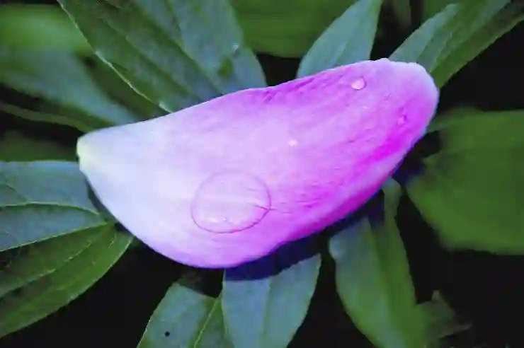 5월 종소세 신고, 간편하게 마무리하는 법 알아보기