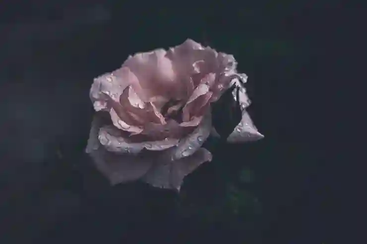 IRP 계좌 개설 후 놓치기 쉬운 숨겨진 혜택 알아보기