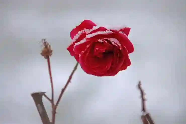 시흥에스한방병원 예약 및 진료시간 안내| 주말과 공휴일에도 쉽게 이용하는 방법 | 한방병원, 전문의 추천, 방문 팁 2025