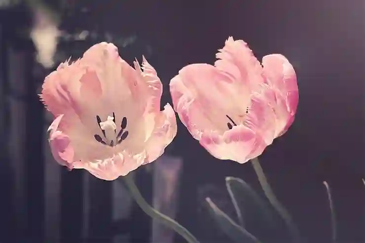 광주광산에스엠치과병원 예약 방법 및 진료시간 안내 | 어플, 일요일 진료, 유명 치과 추천, 2025 정보