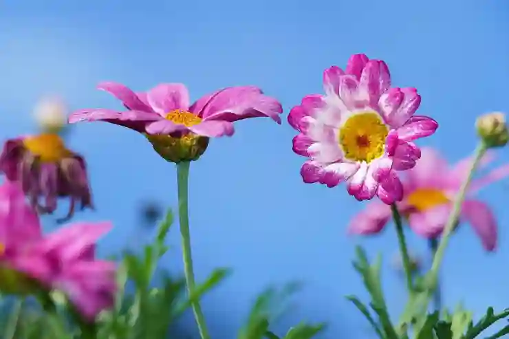 자영업자를 위한 의료비 부담 줄이기: 효과적인 보험 선택 가이드