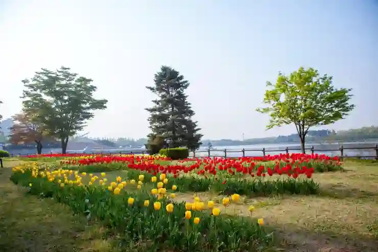 고양시 일산서구에서 믿고 맡길 포장이사 센터 5곳 알아보기