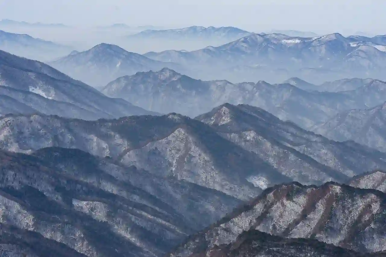 목포미르치과병원 예약 앱과 진료시간, 전문의 추천으로 완벽한 치과 진료 준비하기!