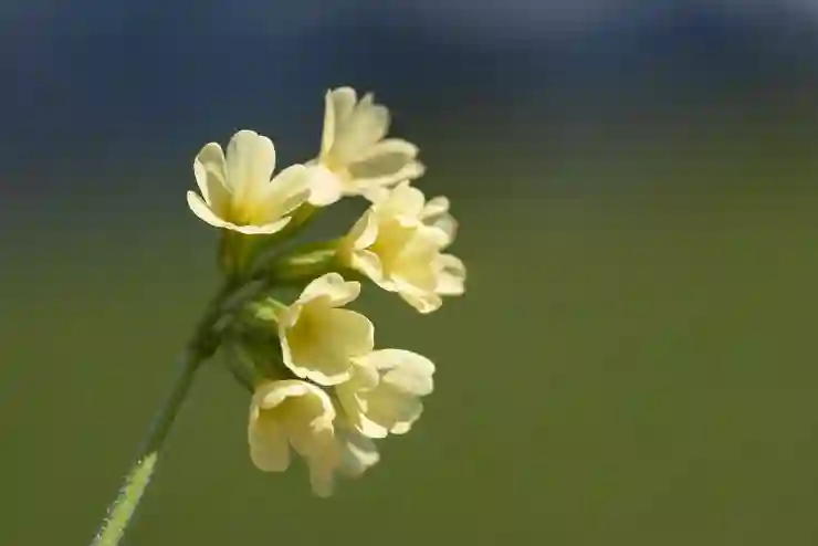 비대면으로 외화 통장 쉽게 개설하는 법 알아보기