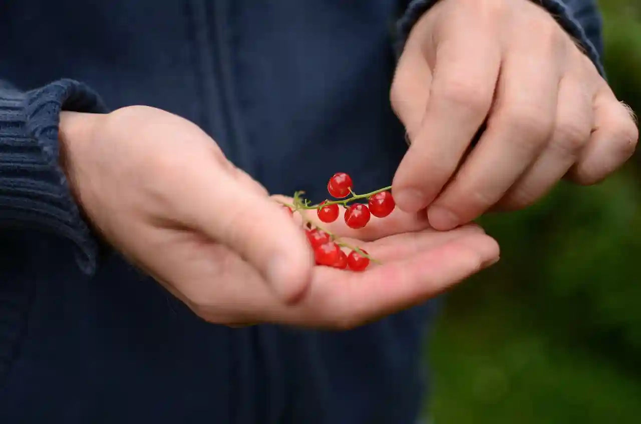 사회복지사 보수교육 완벽 가이드와 수강신청 팁 알아보기