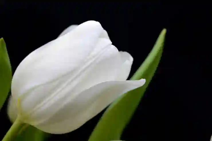 서울강동아이엠치과병원 임플란트와 수면 치료의 모든 것 알아보기