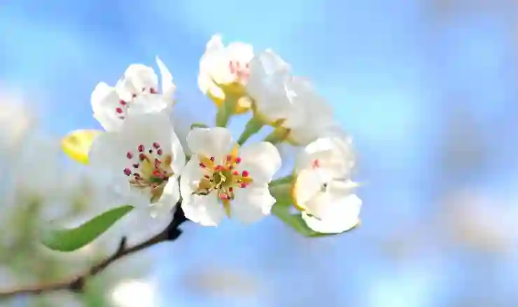 신생아 요로감염 예방과 치료의 모든 것 살펴보기
