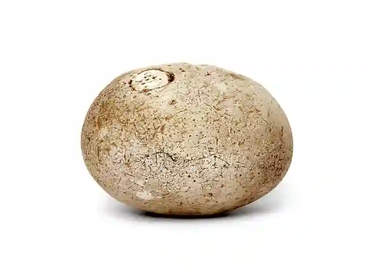 연말정산 월세 세액공제 완벽 가이드