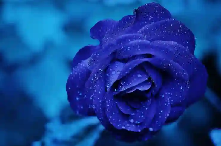 창원 한방병원 예약 앱과 홈페이지 완벽 가이드: 진료시간과 운영정보 모두 알아보기