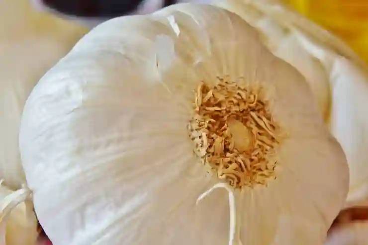 흑마늘의 건강 비밀과 놀라운 효과 알아보기