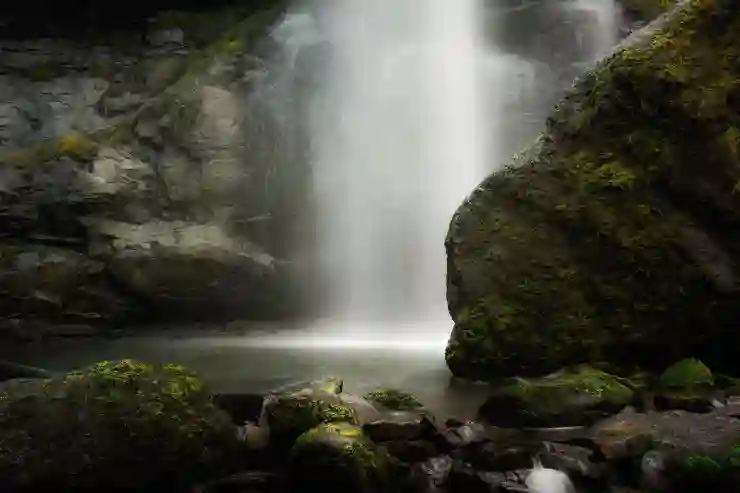 종합부동산세 증가와 주택분 납세자의 변화에 대한 탐구