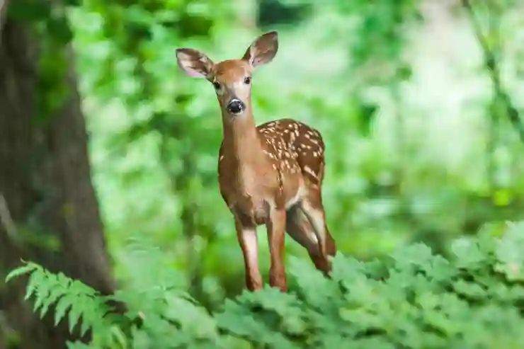 대전 유성의료법인 성전의료재단 온스타치과병원 예약 및 임플란트 가격 완벽 가이드 | 후기, 보험, 지르코니아 크라운, 뼈이식, 수면치과 2025