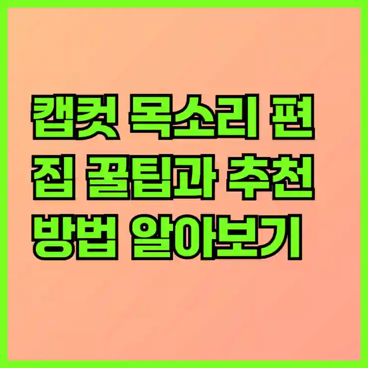 캡컷 목소리 편집 꿀팁과 추천 방법 알아보기