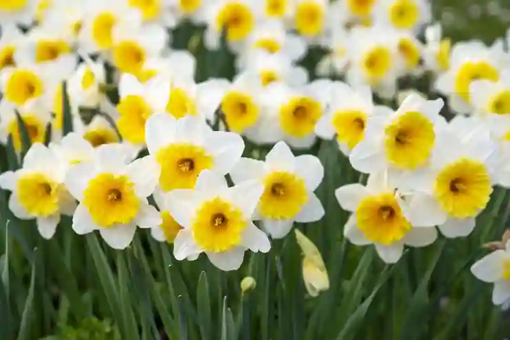 스마트스토어 성공을 위한 필수 초기 설정과 운영 전략 알아보기