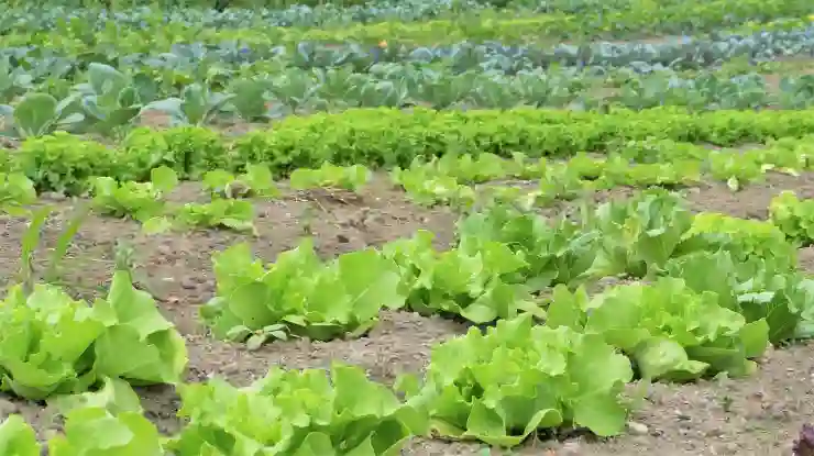 신용점수 올리기 꿀팁과 주의할 점 모두 알아보기!