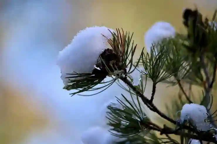 실비보험 가입 시 필수 서류 체크리스트 살펴보기