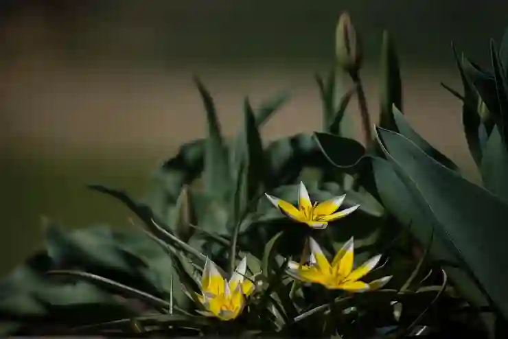 가족을 위한 암 치료비 보험 가입의 모든 것 알아보기