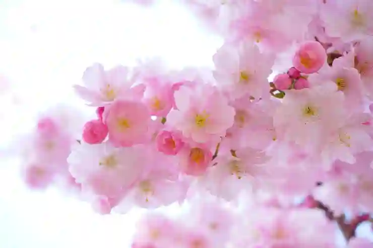 일본 우버택시 사용법: 12월 프로모션 코드 알아보기