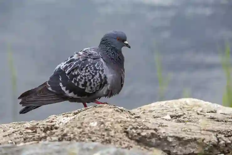 국가건강검진 항목별 간편 정리 및 중요성