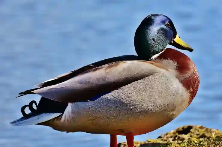 대전 중졸 검정고시, 시험 일정과 장소 완벽 가이드!