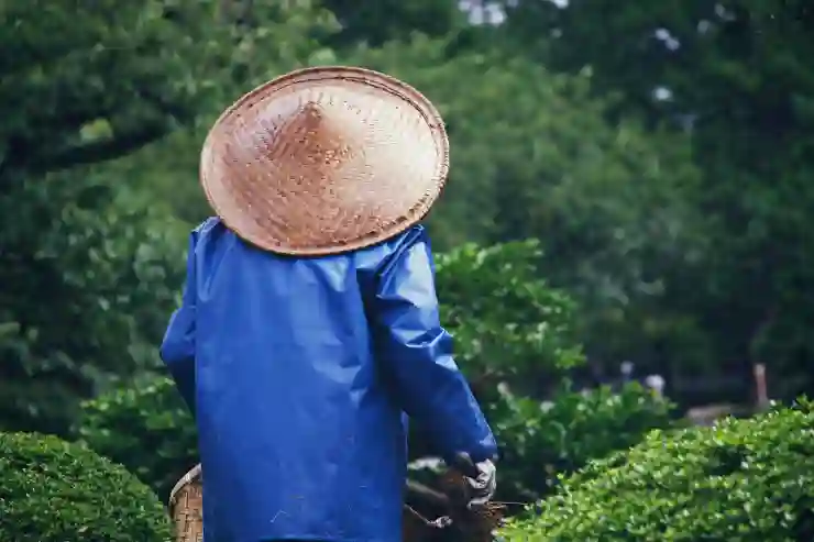 발사믹으로 특별하게 변신하는 마리네이드 레시피 탐험하기