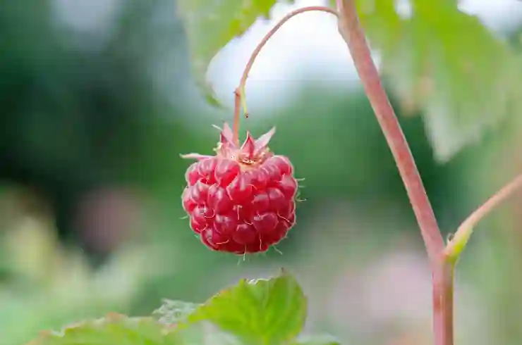 신차 대신 렌트로 자동차 부담 줄이는 법 알아보기