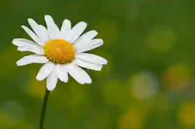 22세기서울치과병원 임플란트와 크라운 비용 및 예약 방법 알아보자