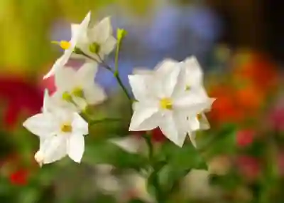 광주에스알씨 재활병원 예약과 진료시간 알아보기