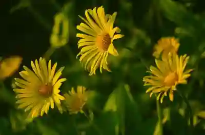 발로란트 VAN9003 오류 해결을 위한 필수 팁 알아보자
