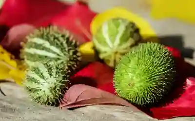 소상공인을 위한 정책자금 대출 한도 및 신청 절차 알아보자