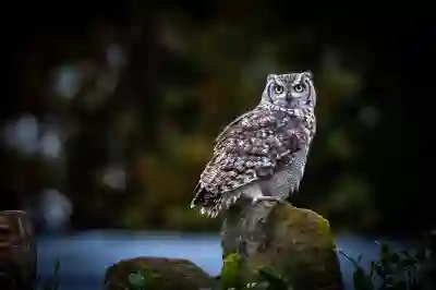 스마트폰 데이터 복구를 위한 필수 팁 알아보자