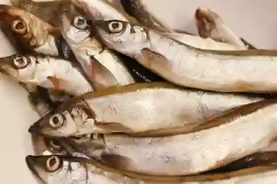 신용점수 올리기 위한 꿀팁 5가지 알아보자