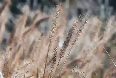 예방접종 기록 확인하는 꿀팁 알아보자