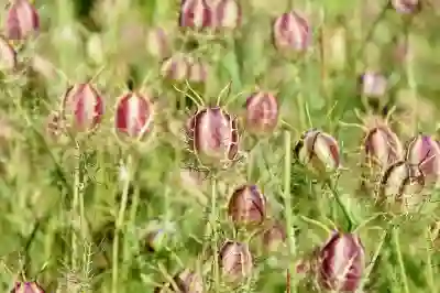 육아휴직 급여 상승금액 및 신청 방법 알아보자