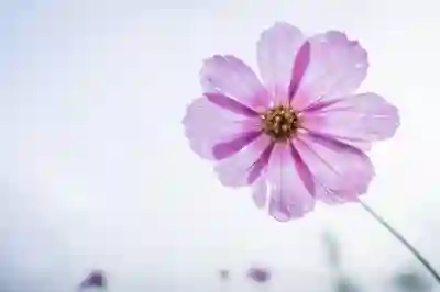 인천미추홀W여성병원 예약과 진료시간 알아보기