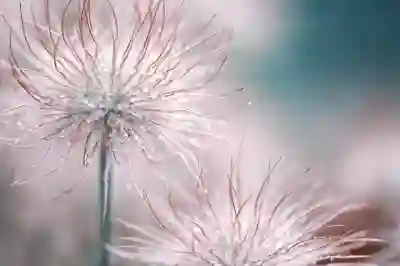 일본뇌염 백신의 생백신과 사백신 비교 알아보자