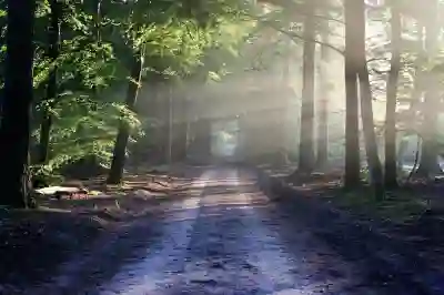 화순보은병원 예약 홈페이지와 어플 이용법 살펴보기