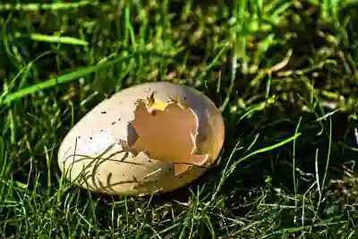 고장 핸드폰 복원 성공 사례와 팁 공유하기