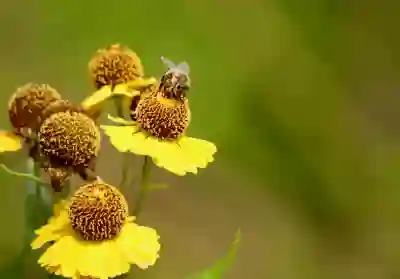국민은행 비대면 계좌개설 방법: 입출금 통장 만드는 법