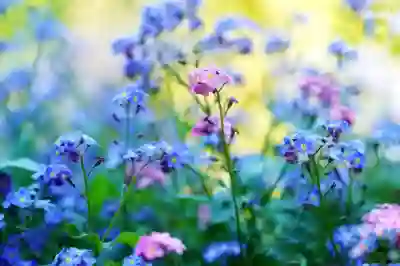 블루멤버스 포인트 활용법 및 현금화 방법
