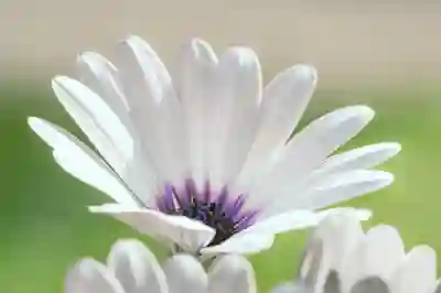 사진 용량 줄이기: 무료로 사용할 수 있는 3개 추천 사이트