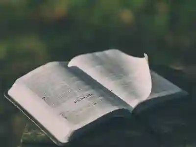 새희망홀씨 대출 연장 시 필요한 자격 요건과 절차 안내